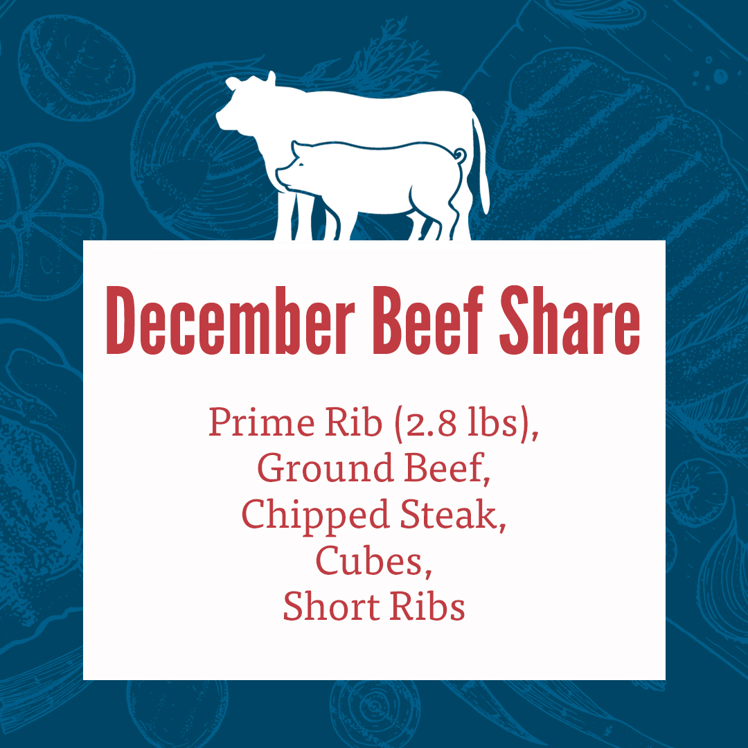 This months beef share