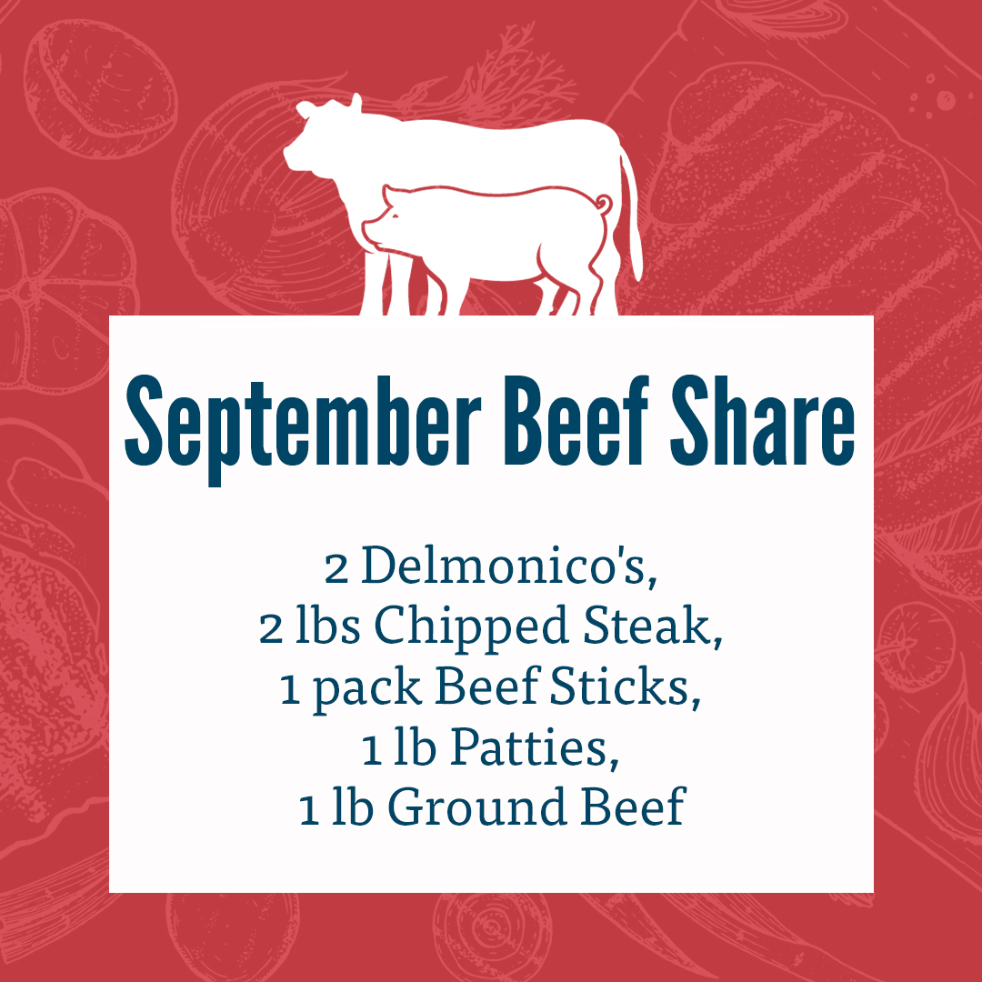 This months beef share
