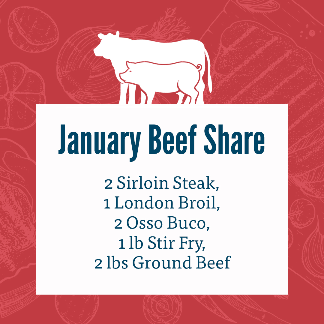 This months beef share