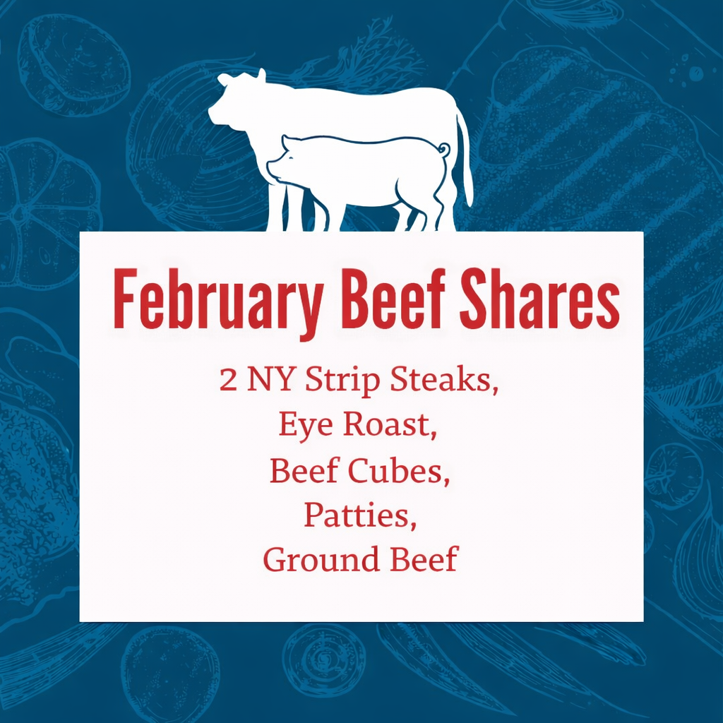 This months beef share