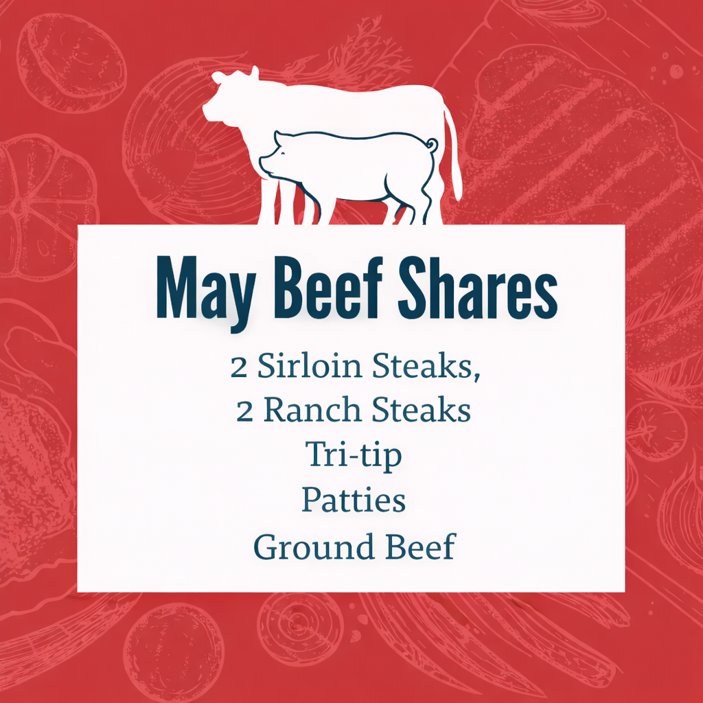This months beef share